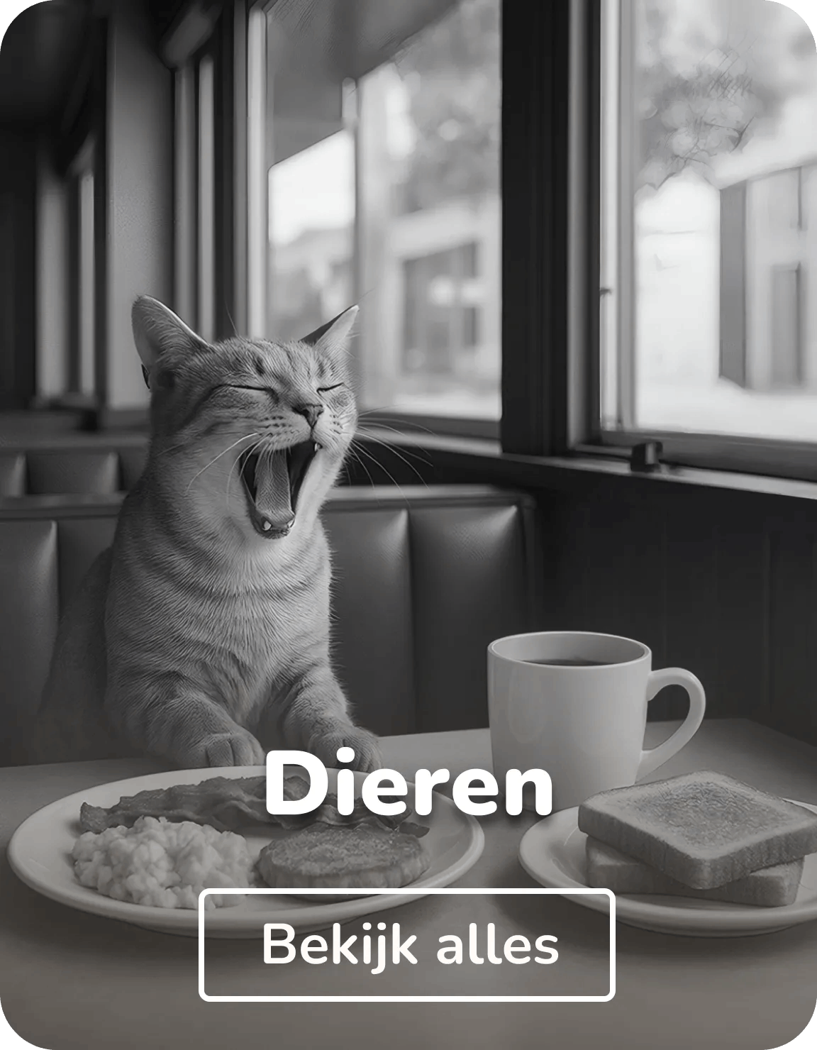 Wandkleed dieren