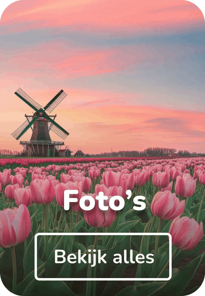 Vilt schilderijen foto's