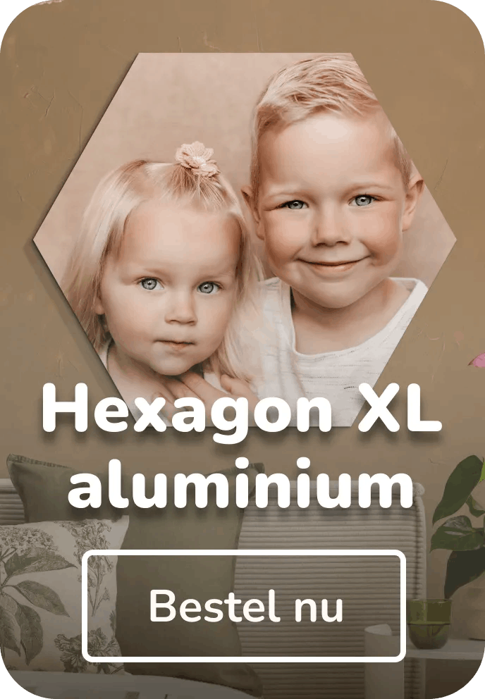 Foto op aluminium hexagon XL