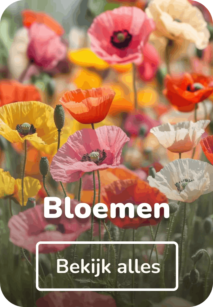 Aluminium bloemen