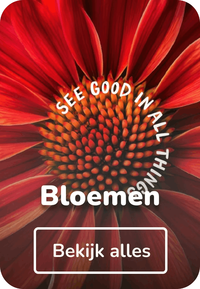 Vilt schilderijen bloemen