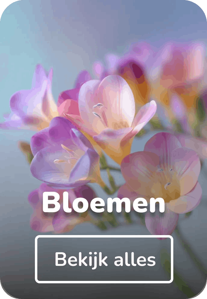 Schoolplaat bloemen