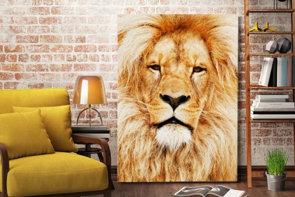 Canvas leeuw