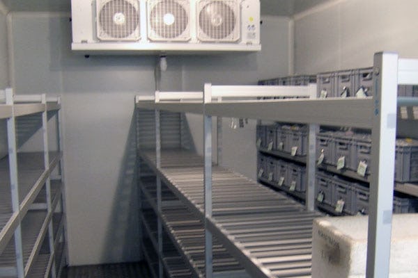 Chambre froide positive