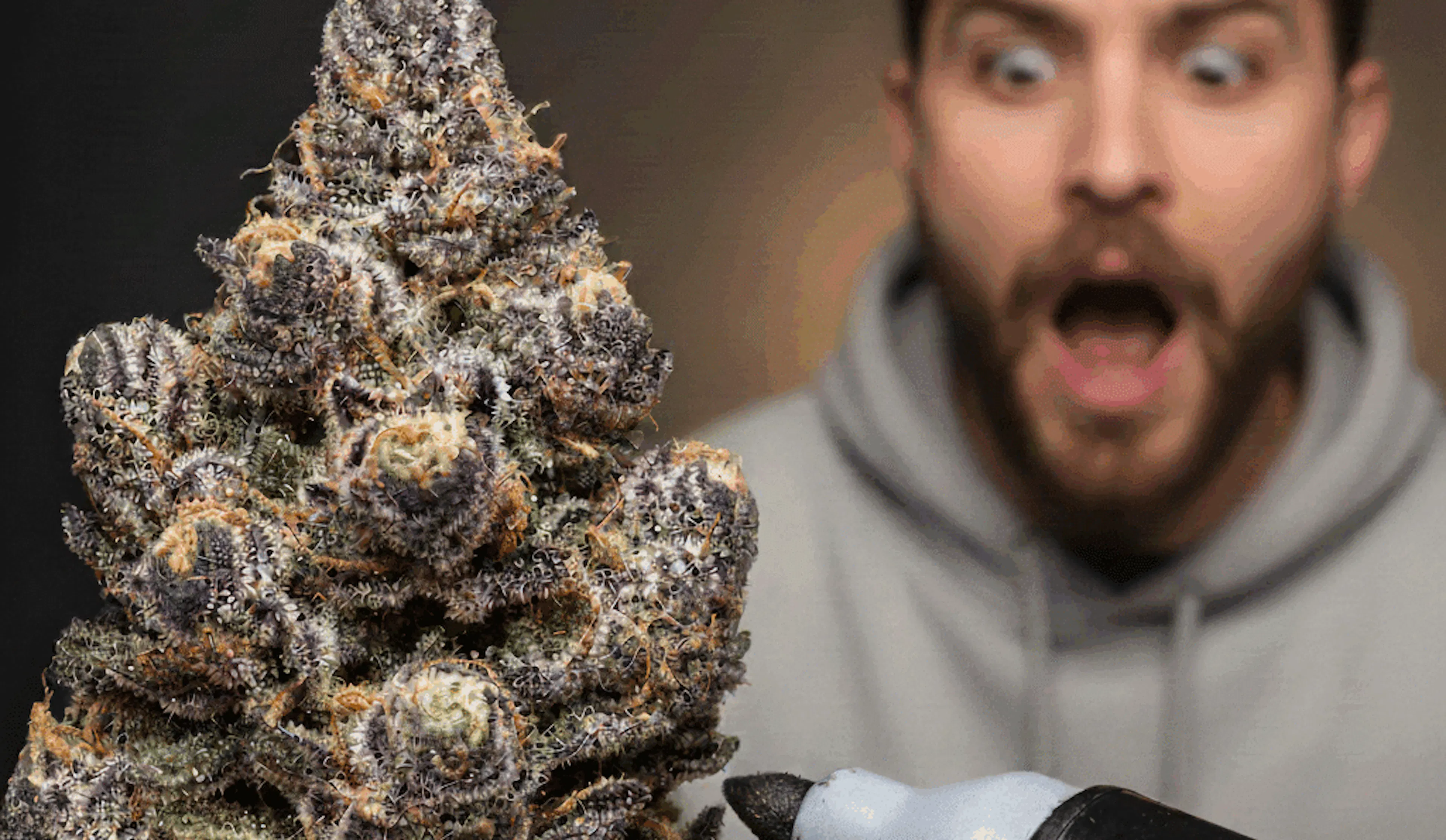 Marijuana Vape Pen - How To Use A Cannabis Vape Pen - Torrey Holistics  Dispensary