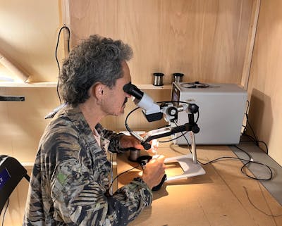 Worker looking in a microscope