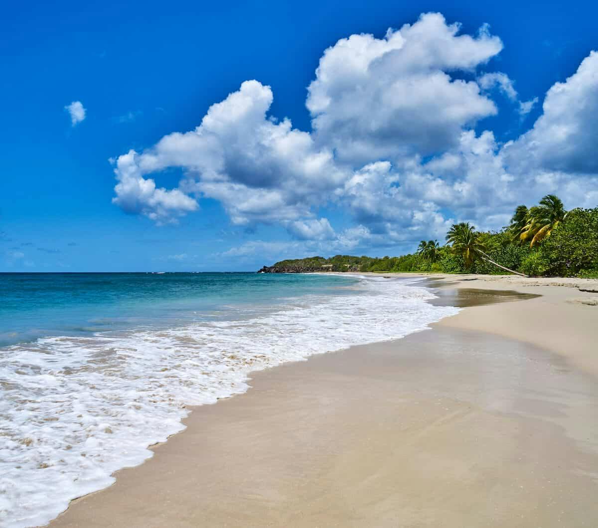 martinique beach les Salines