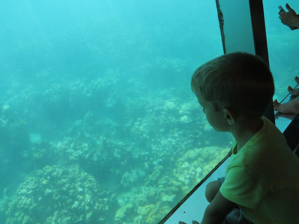 Enfant qui observe les fonds marins dans l'Aquabulle en Martinique
