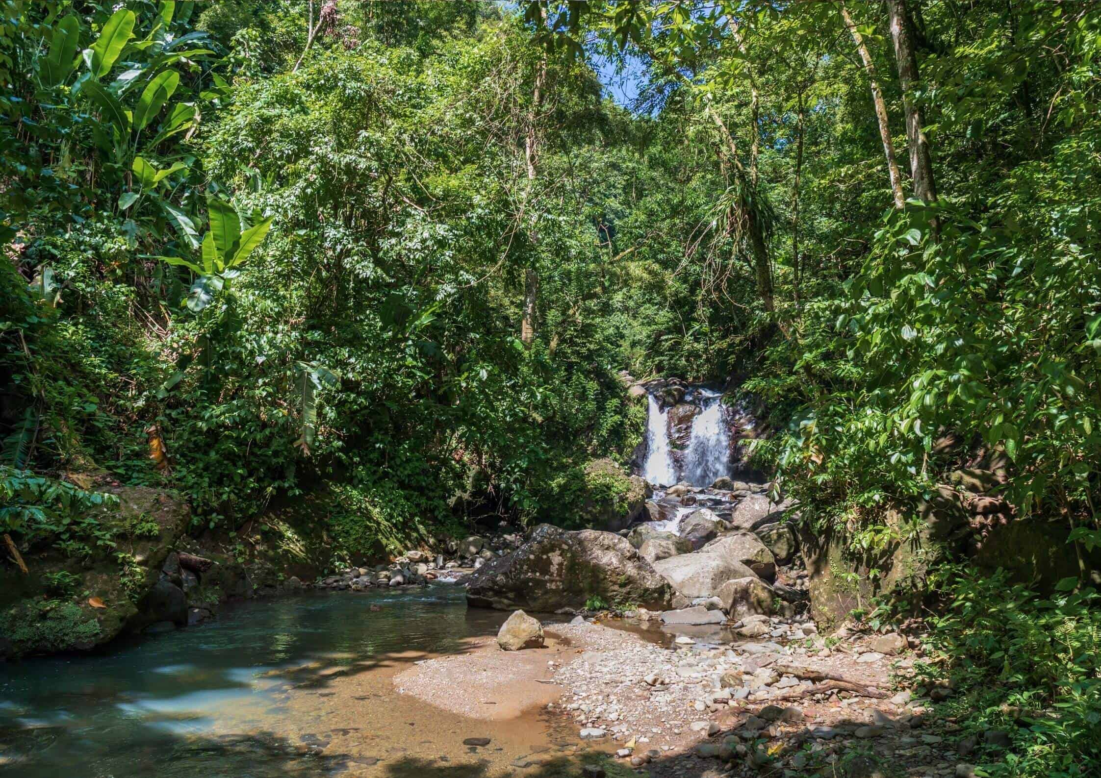 Cascade en Martinique