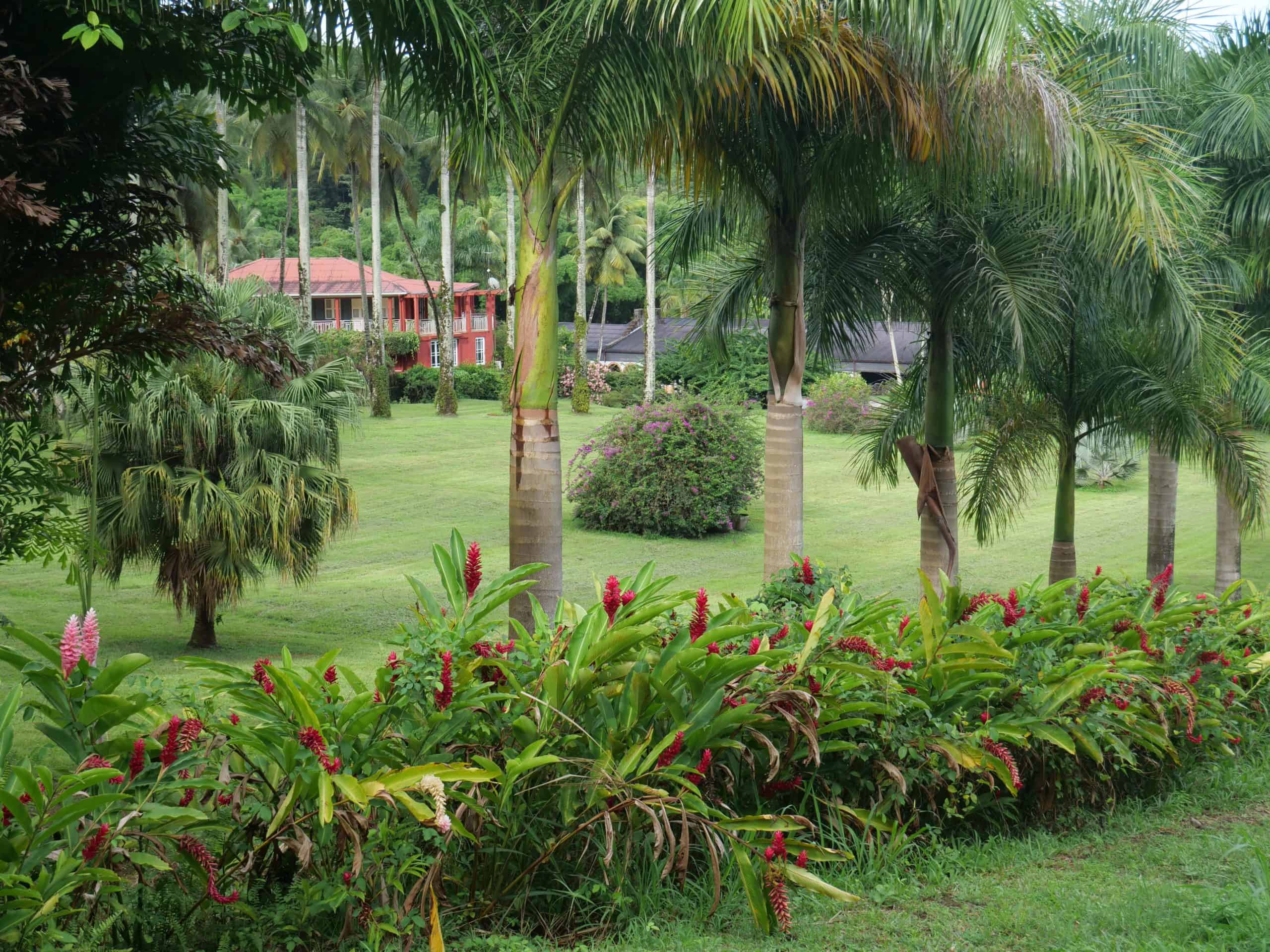 Jardin de l'Habitation Saint-Etienne