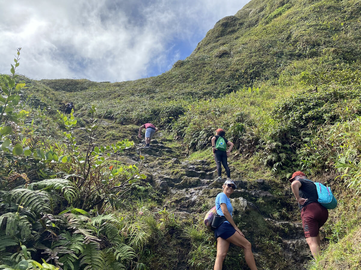 Martinique rando Montagne Pelée