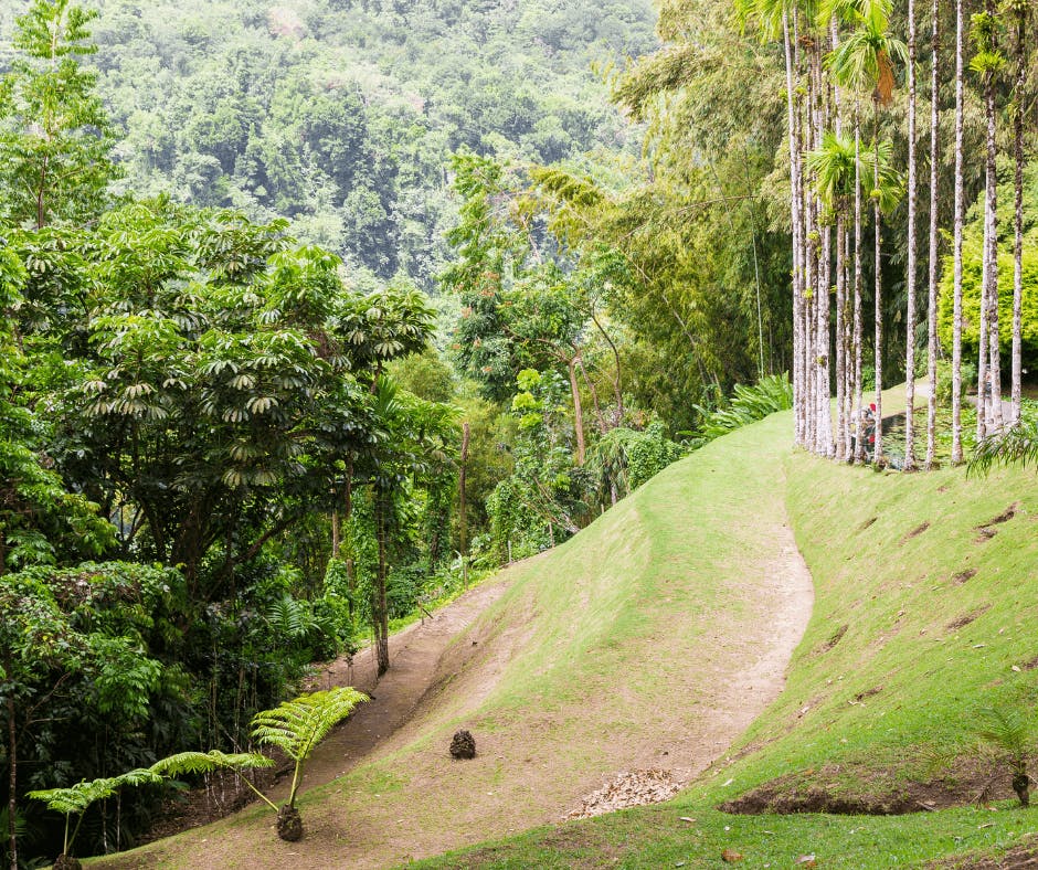 Culture and Landscapes of Martinique: A Captivating Journey