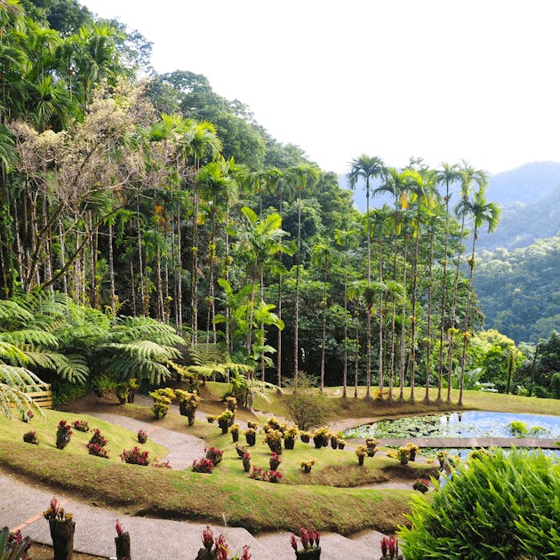 Jardin Balata Martinique