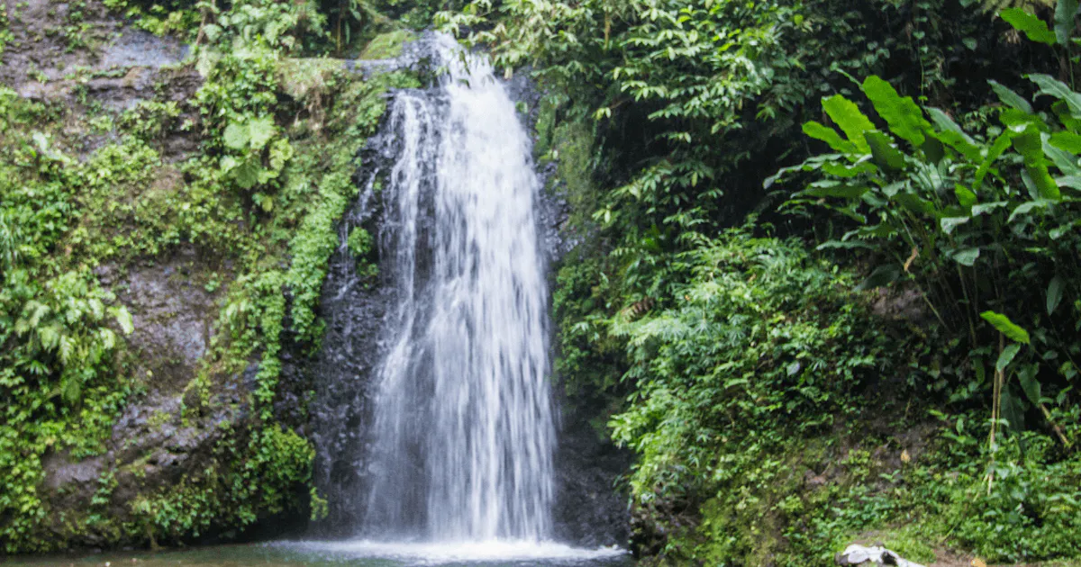The most beautiful waterfalls of Martinique