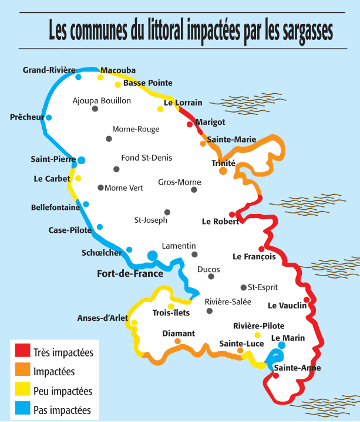 France Antilles : les communes du littoral impactées par les sargasses