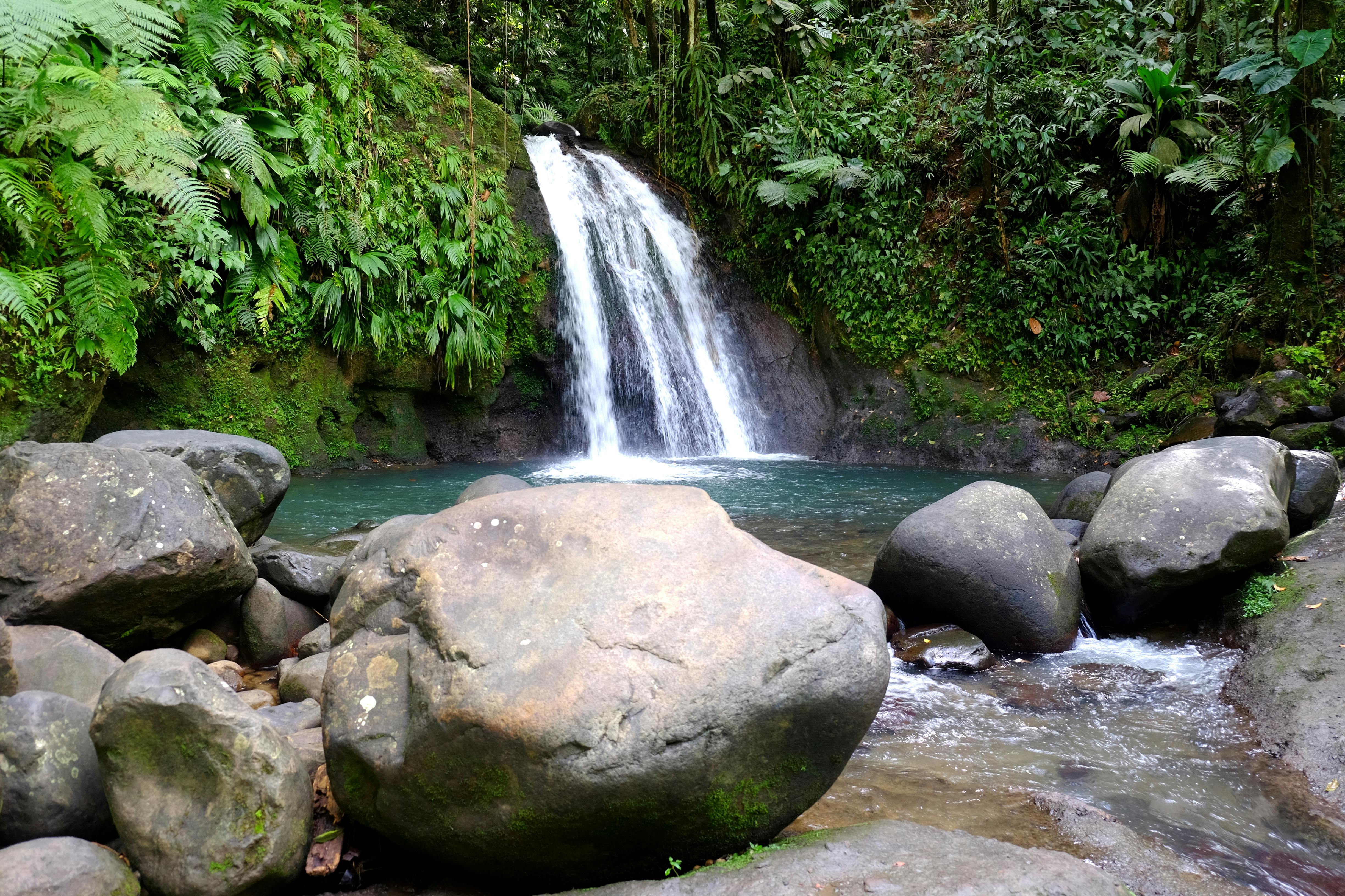 Cascade aux écrevisses en Guadeloupe