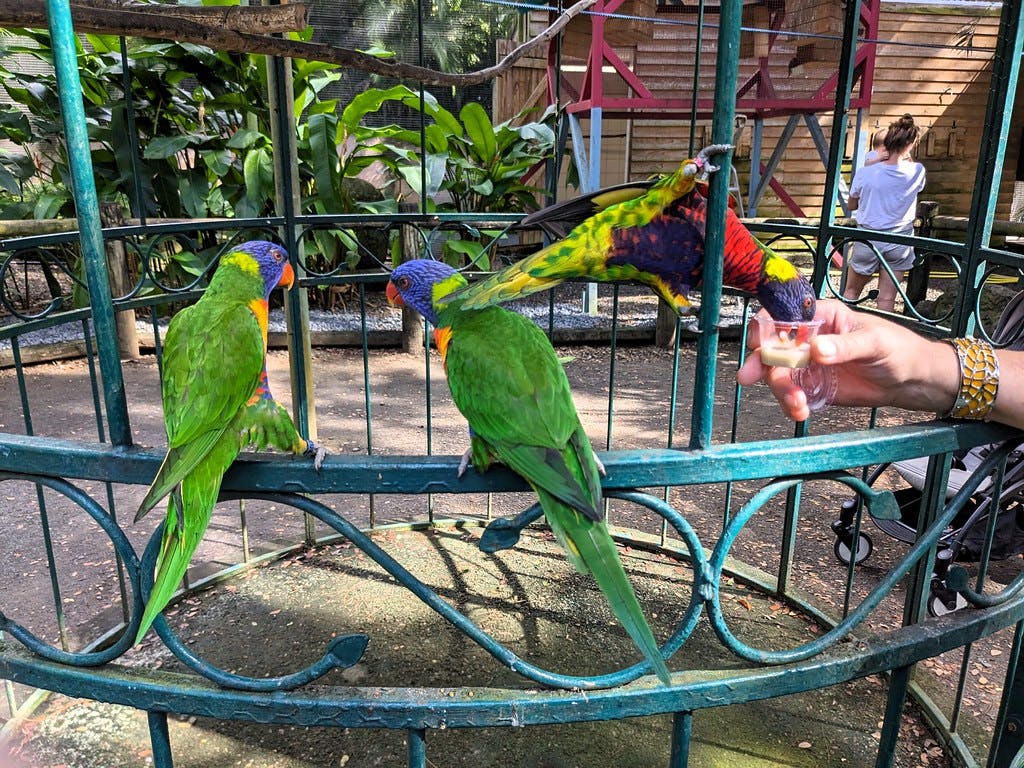 Jardin Botanique de Guadeloupe