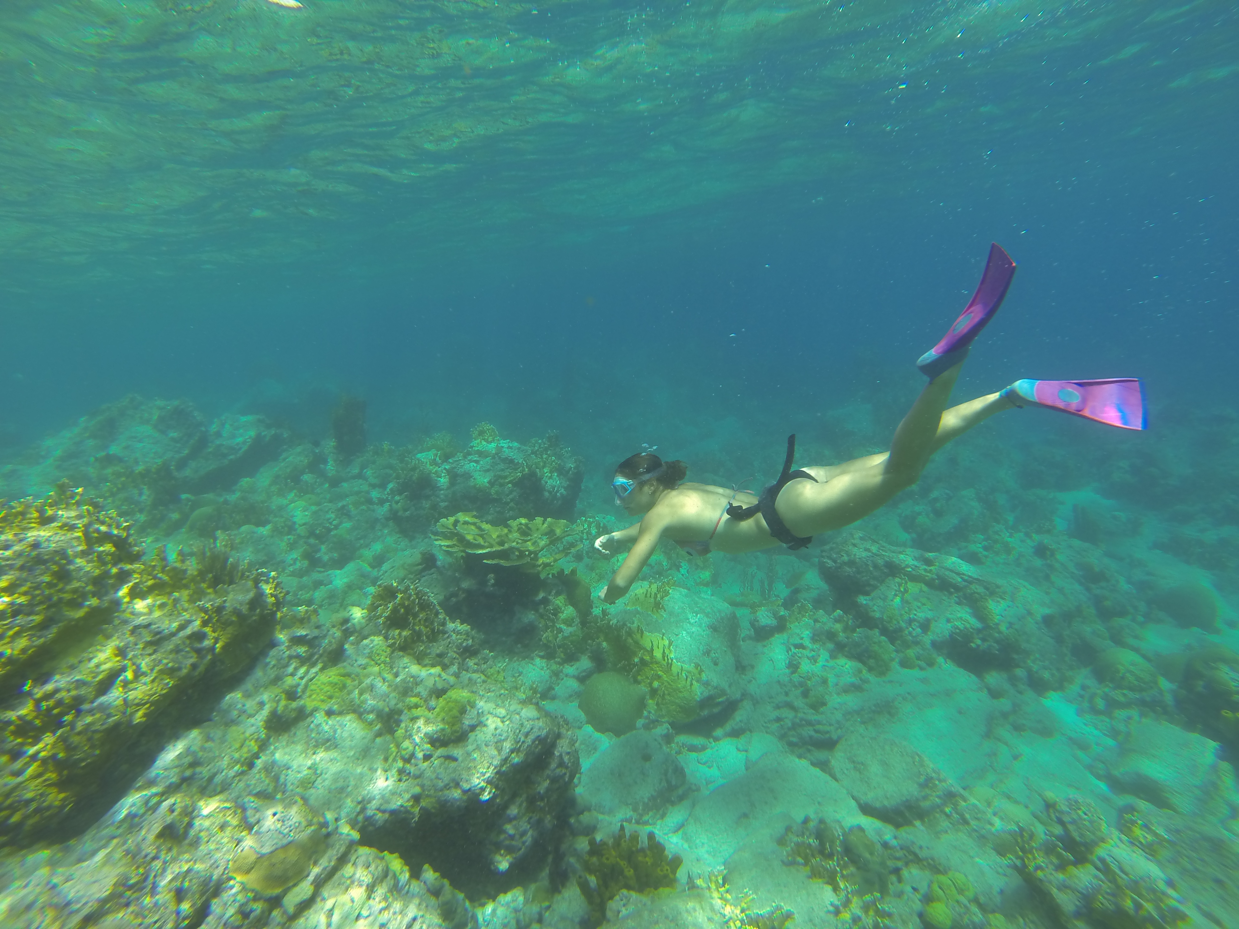 Plongée à l'îlet pigeon en Guadeloupe
