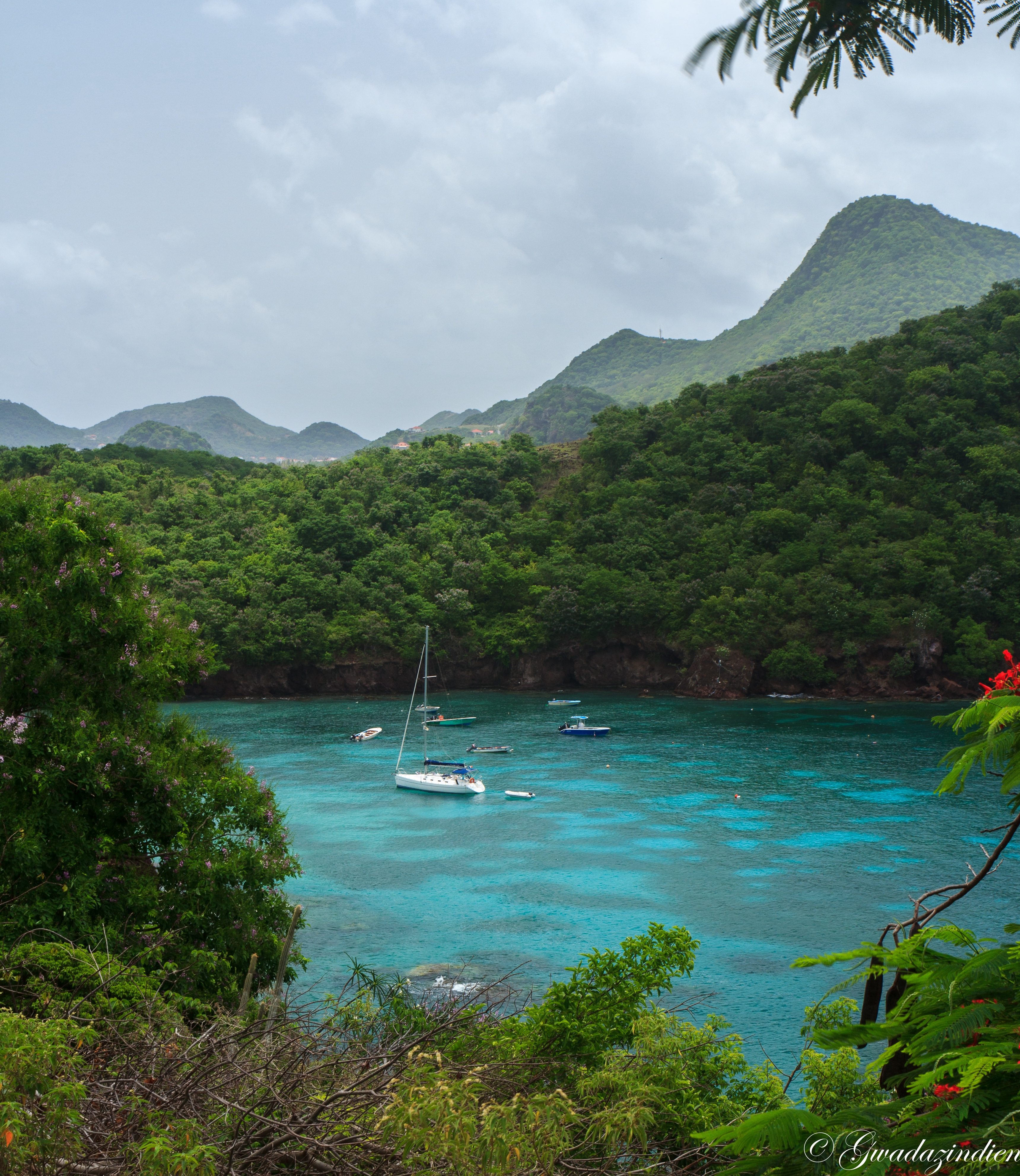 Terre de bas Guadeloupe