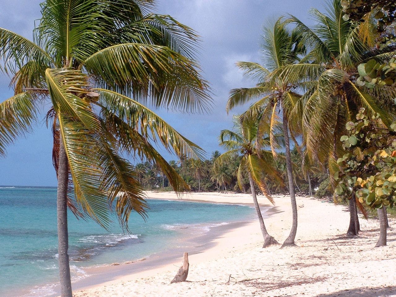 Plage La Feuillère Marie Galante Guadeloupe