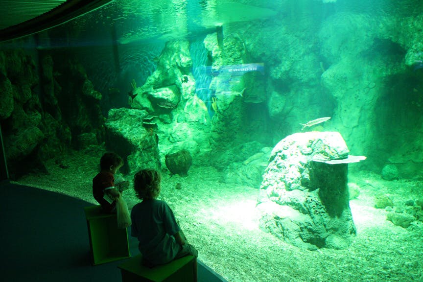 Aquarium de Guadeloupe