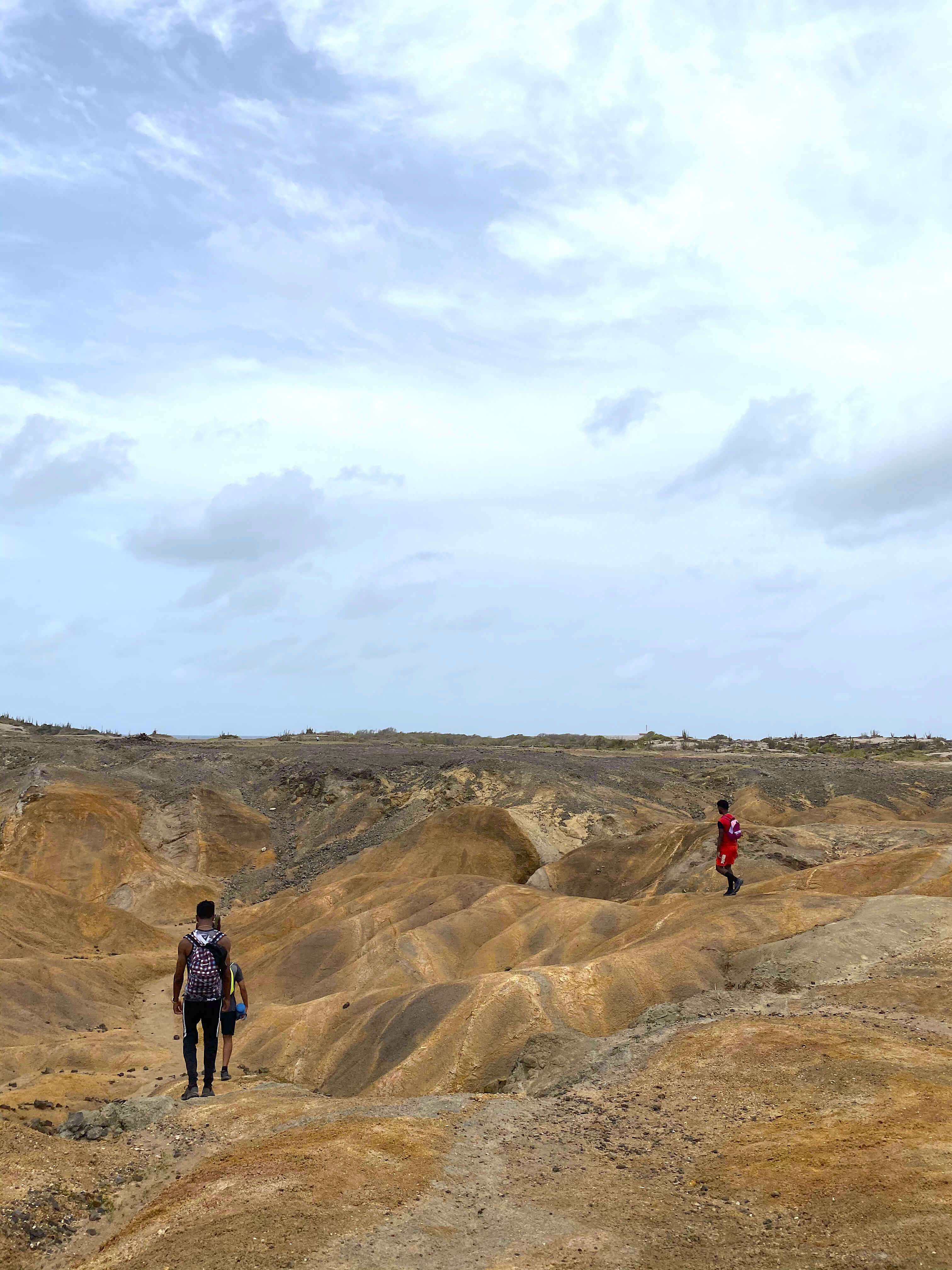 La savane des Pétrifications en Martinique
