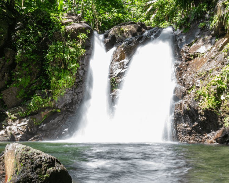 La Cascade Bô la Riviè en Martinique
