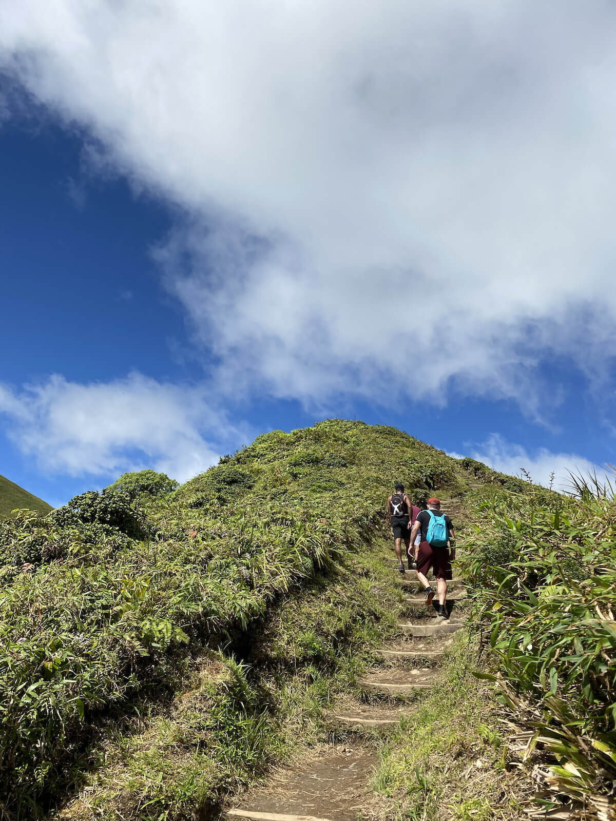 Hiking in the Pelee Mountain