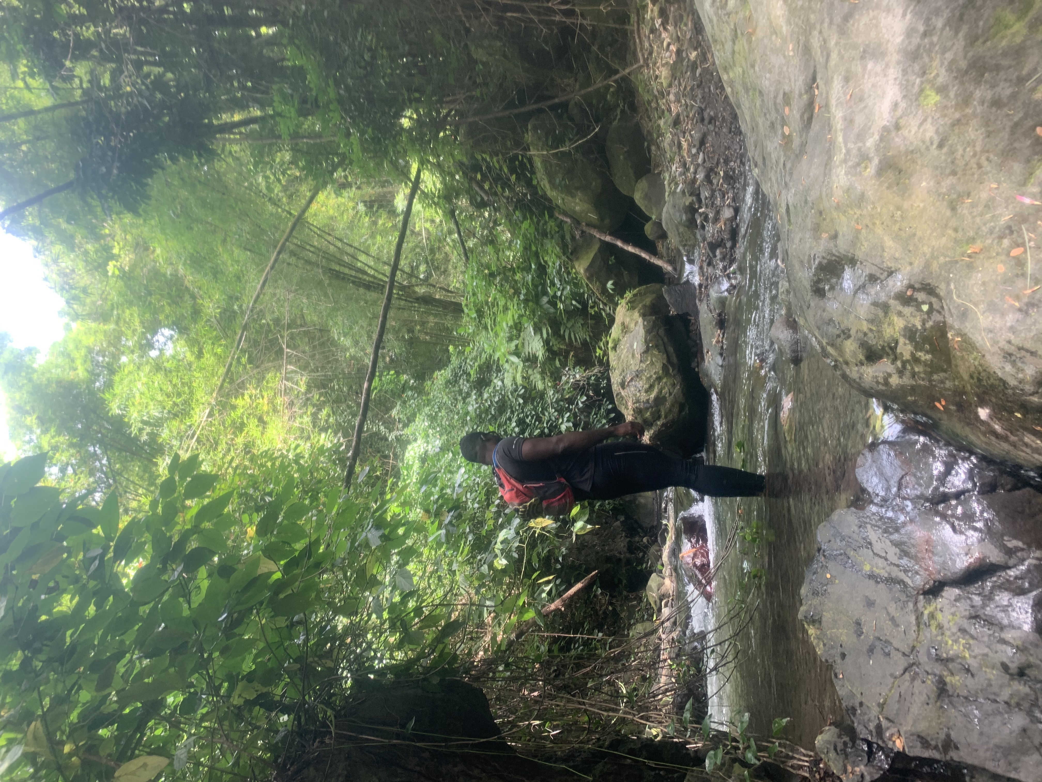 Photo de la cascade des rois