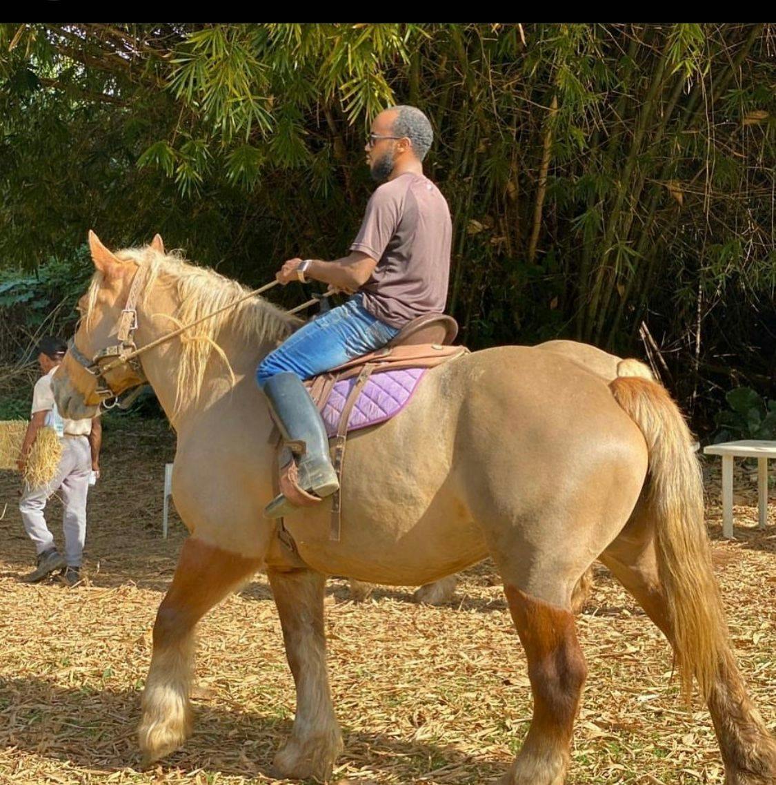 Homme sur un cheval à la ferme West Indies en Martinique