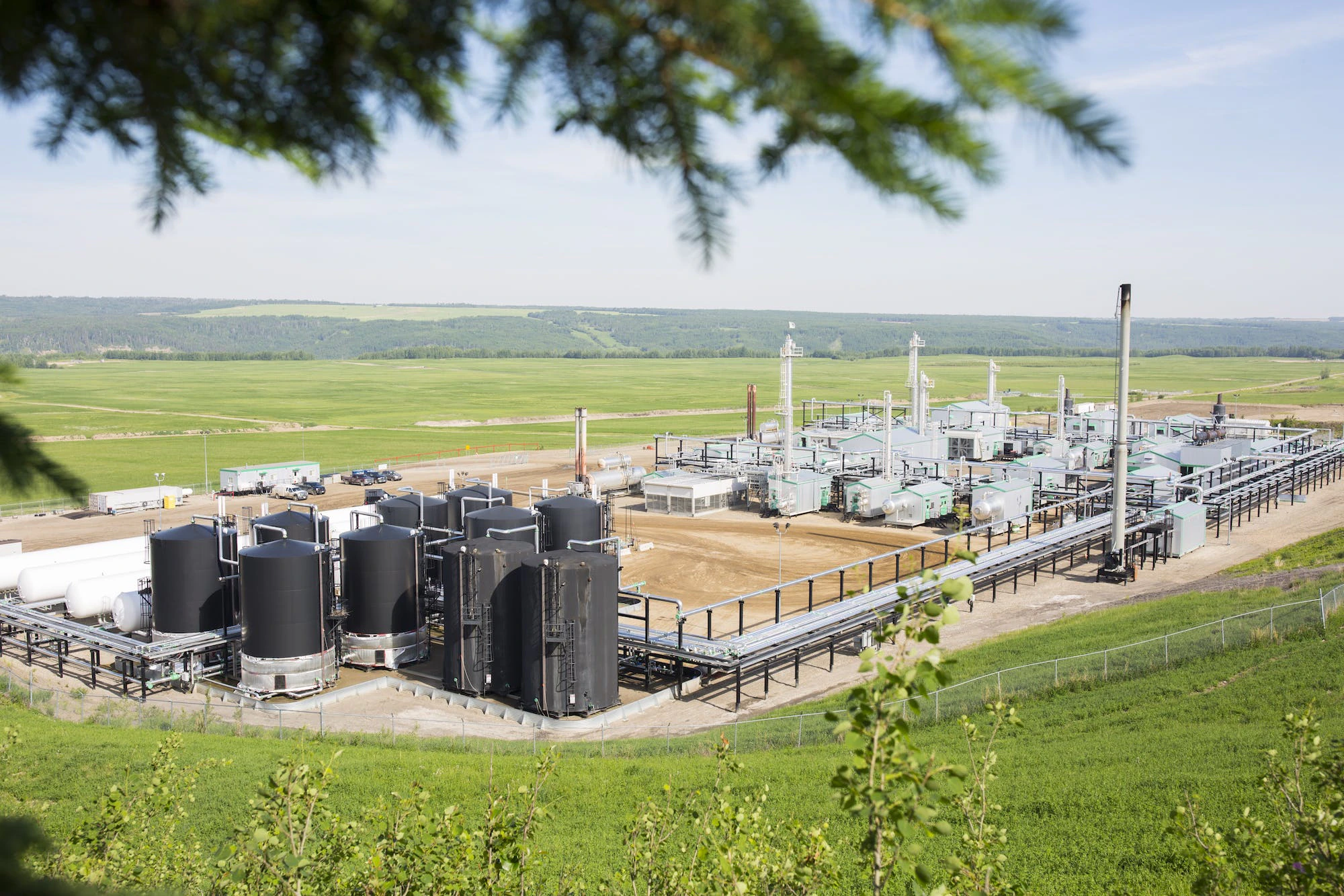 A hilltop view of a gas plant in a green field, with a few pine branches in the foreground.
