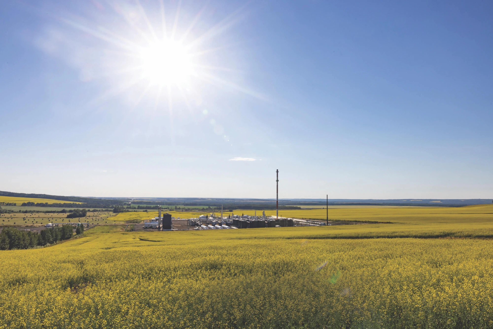 A gas facility surrounded by a field of canola, under a blue sky.