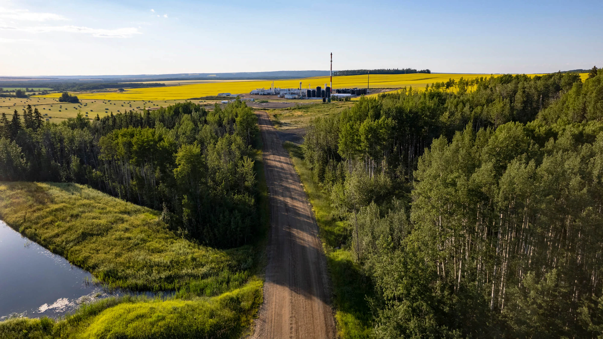 A dirt road leading through dense green trees to a gas facility in the distance.