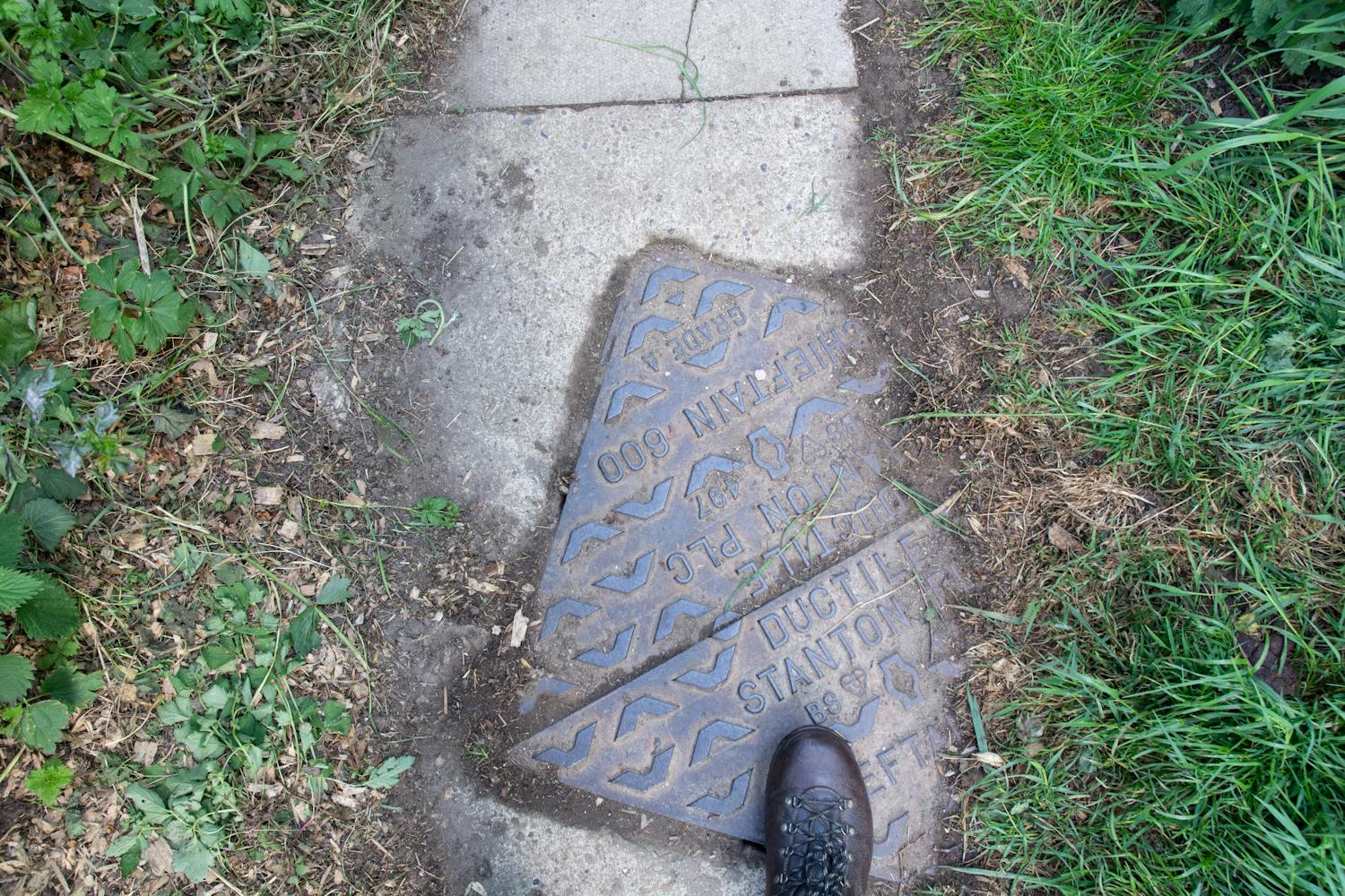 Terra Firma walk