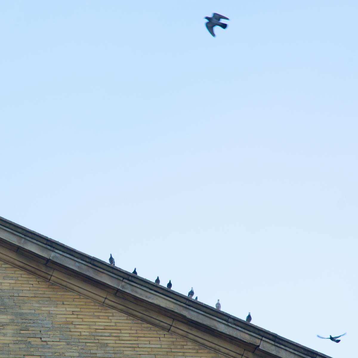 'Up' Bradford