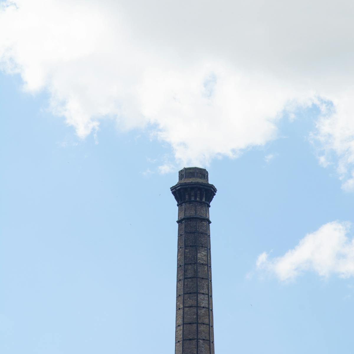 'Up' Bradford