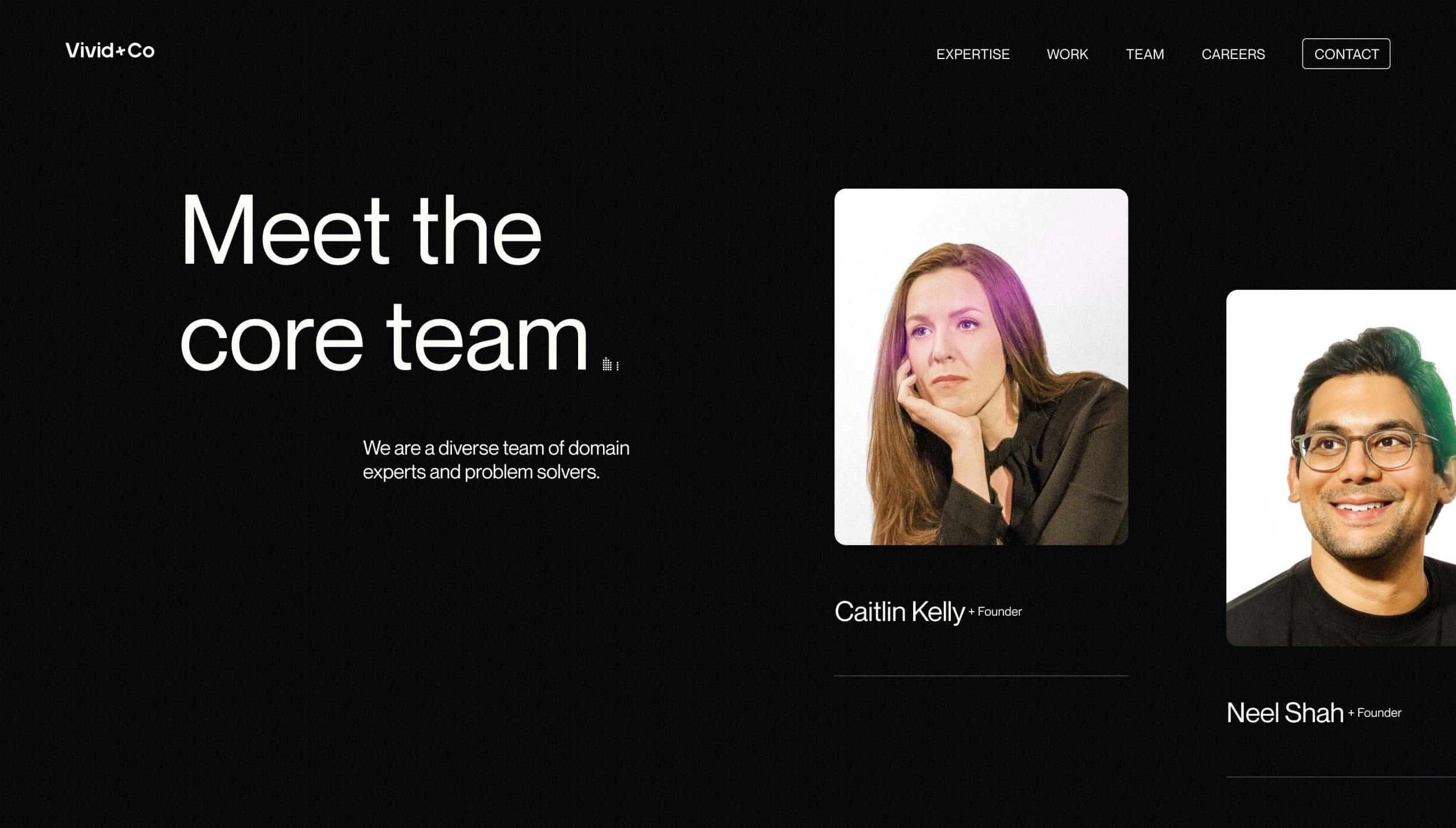Vivid+Co Website