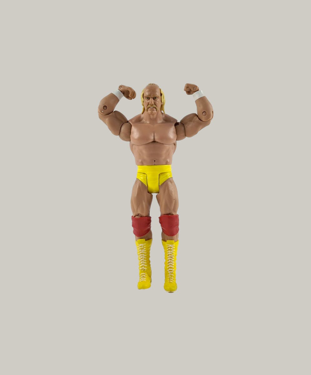 ToyFight Wrestling Action Figure