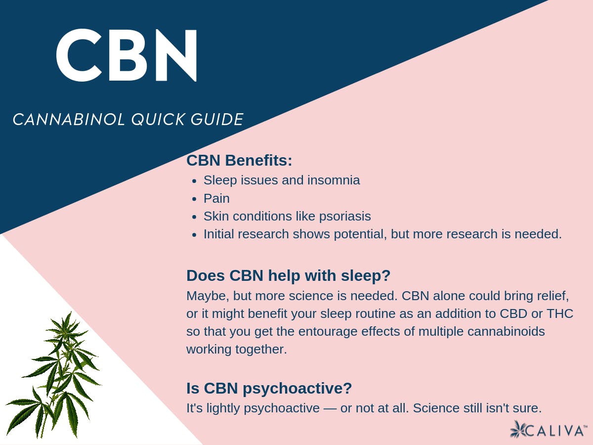 CBN Cannabinol quick guide
