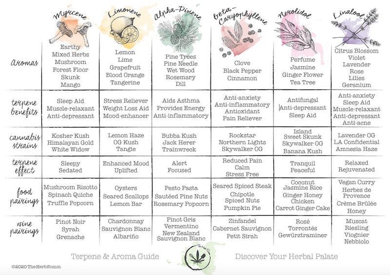 A handy chart of terpenes and aroma pairings created by The Herb Somm.