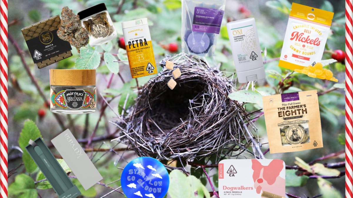 An empty nest symbolizing a home where the children have all grown up, and our recommendations for holiday gifts for the elders who remain. 