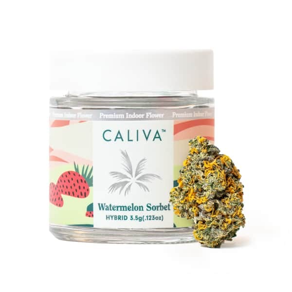 A jar of Caliva's premium indoor flower - the strain is Watermelon Sorbet, a special hybrid. 