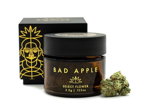 Bad Apple Citrus Kush cannabis flower