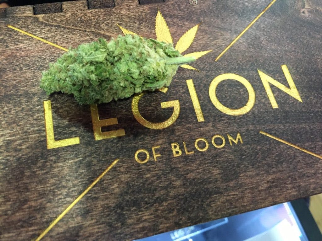 Legion of Bloom 