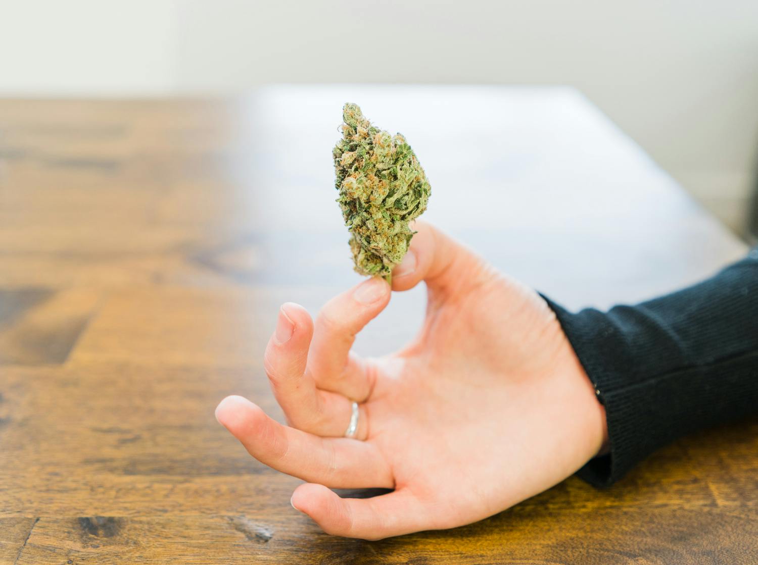cannabis bud in hand