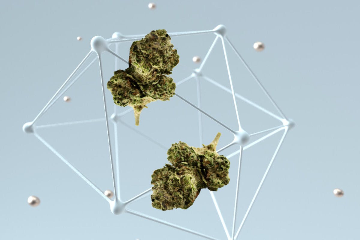 A graphic of a molecule with green cannabis nugs floating in them