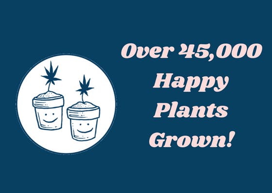 over 45,000 happy plants grow 