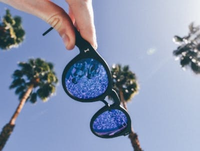 sunglasses palm trees 