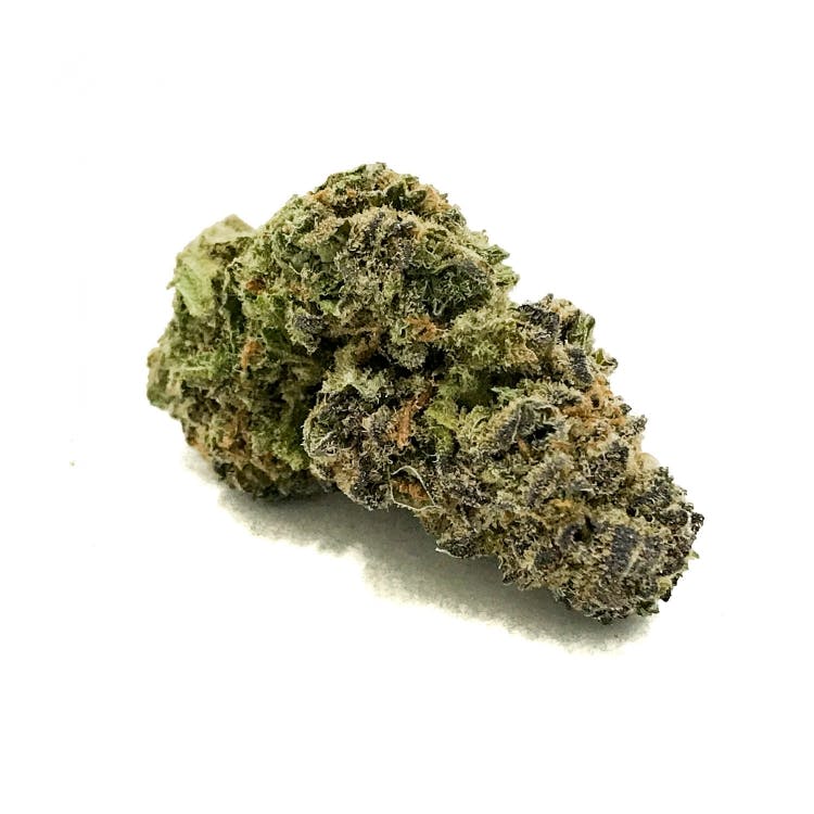 Close up view of a nug of Hurkle CBD cannabis flower