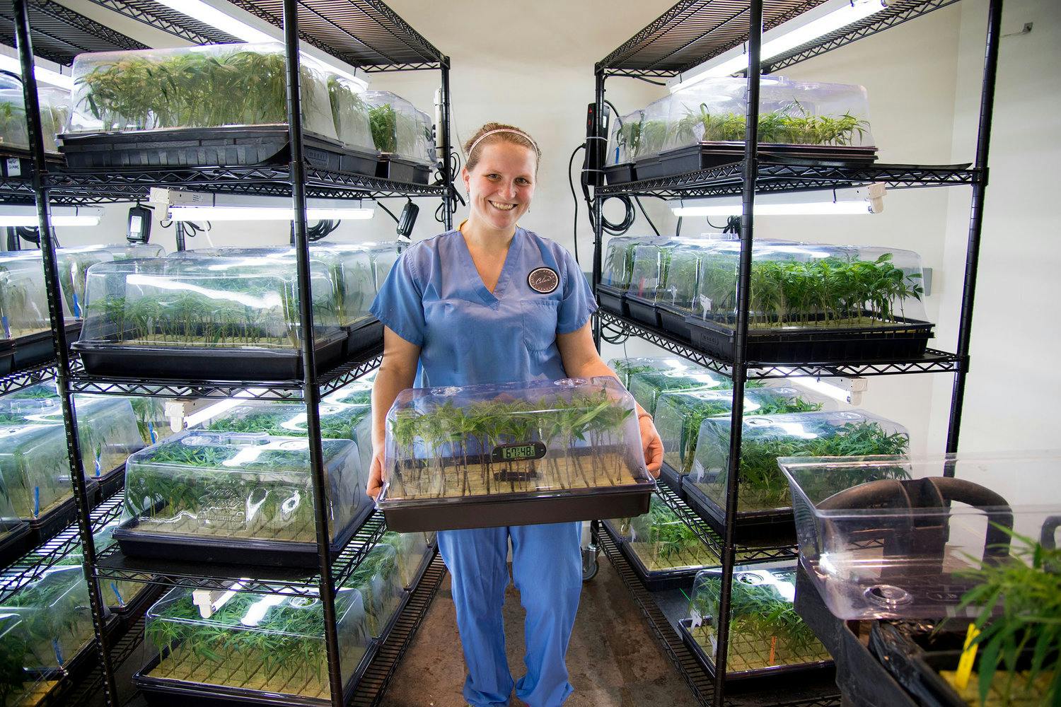 Budtender with plants 